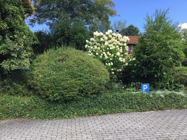 Bayerischer Wald - Balbersdorf Waffenbrunn Экстерьер фото